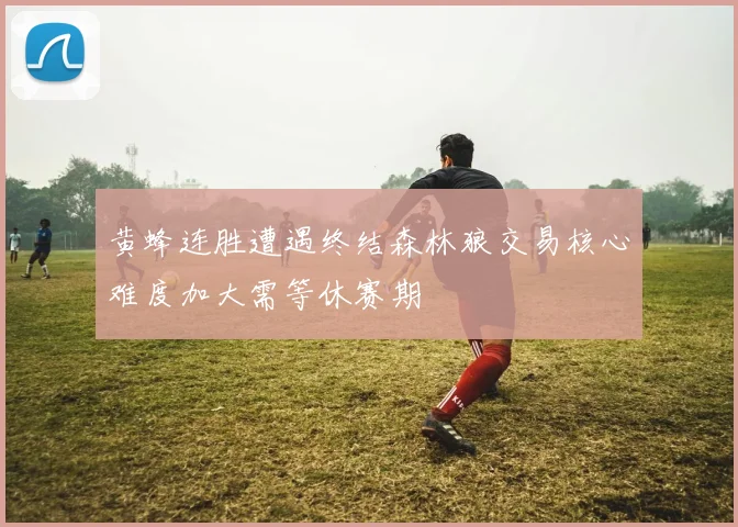 黄蜂连胜遭遇终结森林狼交易核心难度加大需等休赛期