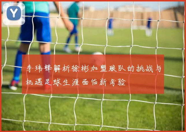 李玮锋解析徐彬加盟狼队的挑战与机遇足球生涯面临新考验