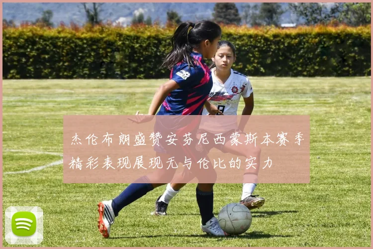 杰伦布朗盛赞安芬尼西蒙斯本赛季精彩表现展现无与伦比的实力